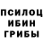 Псилоцибиновые грибы Psilocybine cubensis Jhh Ygh