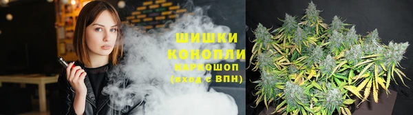 ПСИЛОЦИБИНОВЫЕ ГРИБЫ Абдулино