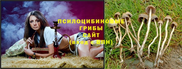 не бодяженный Алзамай