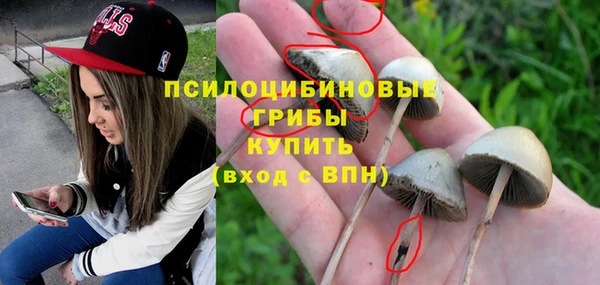 ПСИЛОЦИБИНОВЫЕ ГРИБЫ Абдулино