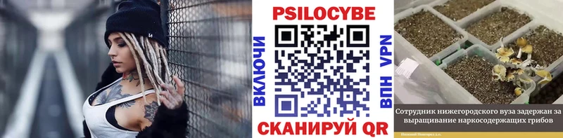 Псилоцибиновые грибы мицелий  где купить наркоту  Кызыл 