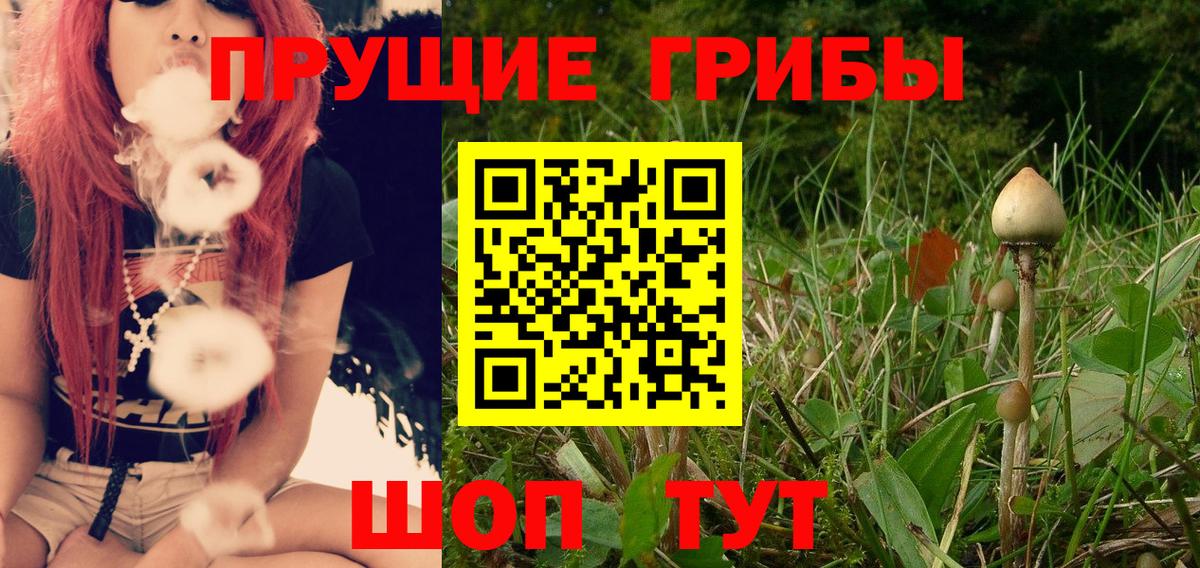 Кызыл  Псилоцибиновые грибы прущие грибы  Вход с VPN 